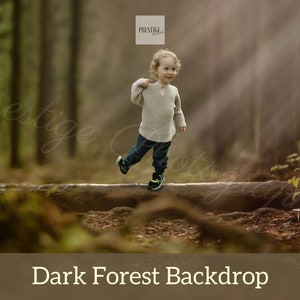 Dark Forest Digital Backdrop: Sunlight Scene (JPG)