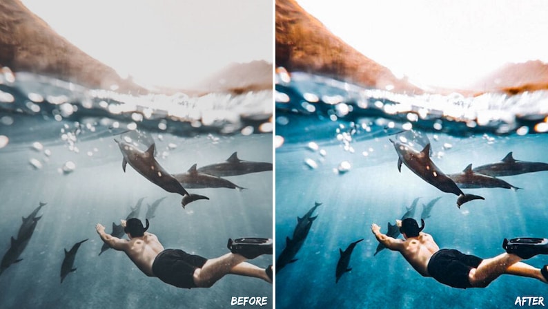 May include: A person swims underwater with a group of dolphins. The water is clear and blue, and the sun is shining brightly. The dolphins are swimming in a circle around the person.