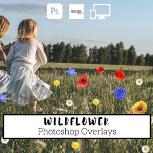 22 Realistic Wildflower Photoshop Overlays - Transparent PNG, photoshop, overlays, easy to use, DIGITAL DOWNLOAD