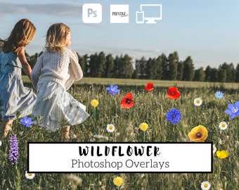 Realistische Wildblumen Photoshop Overlays: 22 Transparente PNG (Digitaler Download)