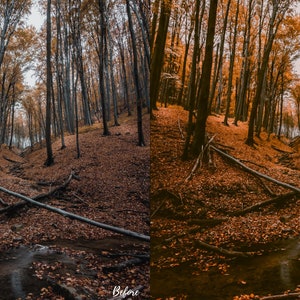 May include: A side-by-side comparison of a forest scene before and after editing. The before image shows a forest path with fallen leaves and a small stream. The after image shows the same scene with enhanced colors and contrast, making the leaves appear more vibrant and the stream more prominent.