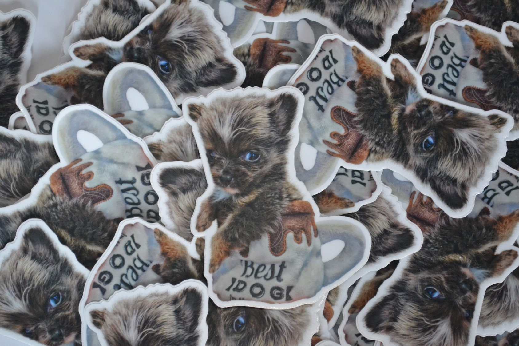 Best Dog | Casimir the Pomchi Puppy | Sticker