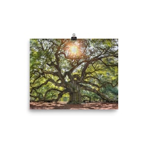 Tree of Life Wall Art, Poster, Tree of Life Print, Oak Tree Art, Live Oak Tree Art, Sun Through Tree Art, Oak Tree Poster