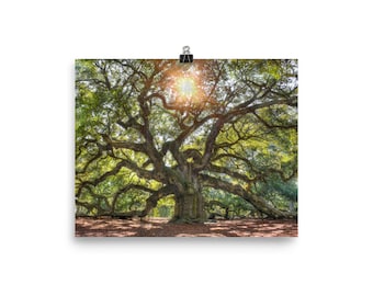 Tree of Life Wall Art, Poster, Tree of Life Print, Oak Tree Art, Live Oak Tree Art, Sun Through Tree Art, Oak Tree Poster