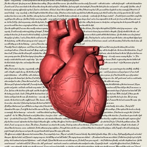 File digitale Il cuore rivelatore di Edgar Allan Poe con cuore rosso