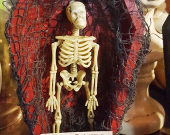 Skeleton in Red Coffin Shadowbox