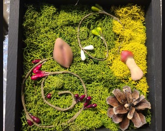 Cottage Hardcore Shadowbox Mushrooms & P. Flower