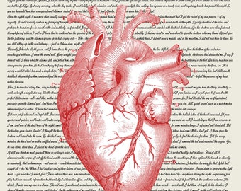 Digital File The Tell-Tale Heart by Edgar Allan Poe with Anatomical Red Heart