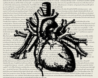 Digital File- The Tell-Tale Heart by Edgar Allan Poe