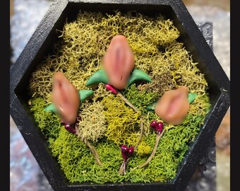 Cottage Hardcore Shadowbox P. Flower Trio