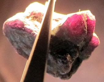 ALEXANDRITE 89.7 CARAT NATURAL Rough Collector’s Crystal Mineral Gem (M1)