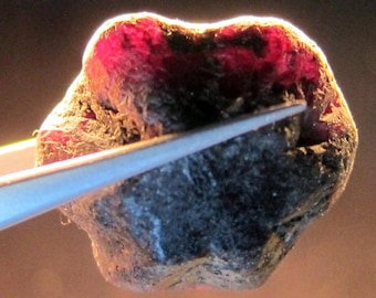ALEXANDRITE 76.7 CARAT NATURAL Rough Collector’s Crystal Mineral Gem (R20)