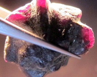 ALEXANDRITE 95.3 CARAT NATURAL Rough Collector’s Crystal Mineral Gem (M23)