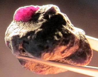 ALEXANDRITE 81.2 CARAT NATURAL Rough Collector’s Crystal Mineral Gem (M19)
