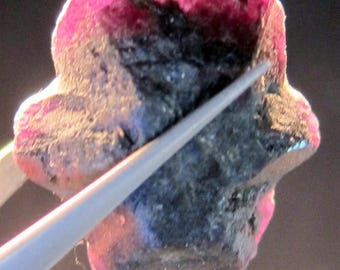 ALEXANDRITE 57.6 CARAT NATURAL Rough Collector’s Crystal Mineral Gem (R14)