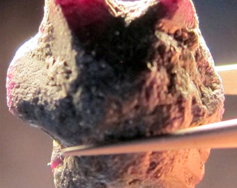 ALEXANDRITE 90.5 CARAT NATURAL Rough Collector’s Crystal Mineral Gem (M14)