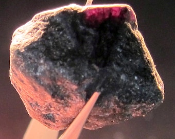 ALEXANDRITE 81 CARAT NATURAL Rough Collector’s Crystal Mineral Gem (R21)