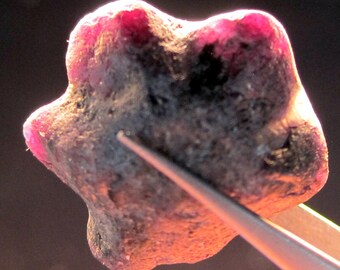 ALEXANDRITE 62.5 CARAT NATURAL Rough Collector’s Crystal Mineral Gem (R9)