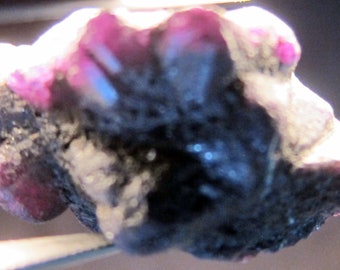 ALEXANDRITE 98.5 CARAT NATURAL Rough Collector’s Crystal Mineral Gem (M13)