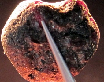 ALEXANDRITE 47.3 CARAT NATURAL Rough Collector’s Crystal Mineral Gem (O14)