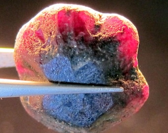 ALEXANDRITE 42.2 CARAT NATURAL Rough Collector’s Crystal Mineral Gem (R7)
