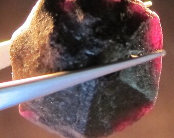 ALEXANDRITE 81.8 CARAT NATURAL Rough Collector’s Crystal Mineral Gem (M4)