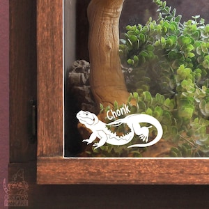 Décalcomanie en vinyle Chuckwalla personnalisable, cadeau pour reptiles, décoration de tank, cadeau pour les amateurs et les propriétaires de reptiles