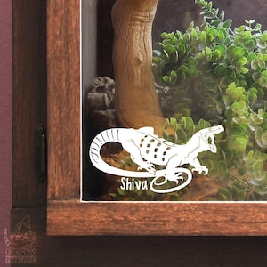 Crocodile Monitor Customizable Decal, Gift for Reptile Lizard Owners and Lovers, Enclosure Name Tag Decor