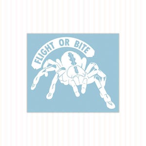 Tarantula Car Decal Spider Sticker P Metallica