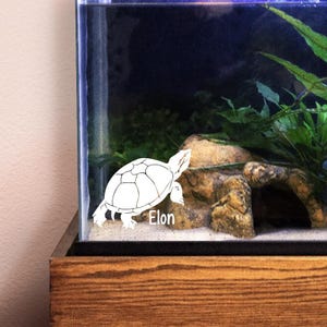 Musk Turtle Customizable Decal, Reptile Turtle Enclosure Name Tag, Gift for Turtle Moms or Dads