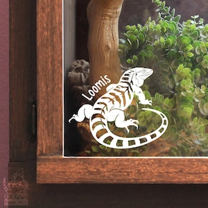 Argentine Tegu Customizable Decal, Gift for Reptile Monitor Lizard Owners and Lovers, Enclosure or Terrarium Decor Name Tag