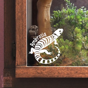 Rosa Zunge Skink kundengerechter Vinylaufkleber, perfektes Geschenk für Reptilienliebhaber und -besitzer, Gehäuse-Namensschild