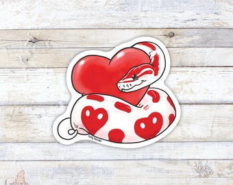Adesivo in vinile a forma di cuore di pitone, regalo per amanti e proprietari di rettili, accessori per laptop e bottiglie d'acqua