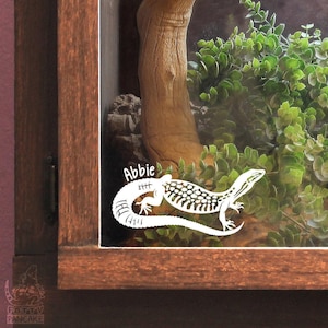 Może przedstawiać: Drewniane terrarium z białą naklejką z jaszczurką z napisem "Abbie". Terrarium ma wewnątrz drewnianą gałąź i zielone liście. W lewym dolnym rogu znajduje się logo z napisem "Fatty Pancake".