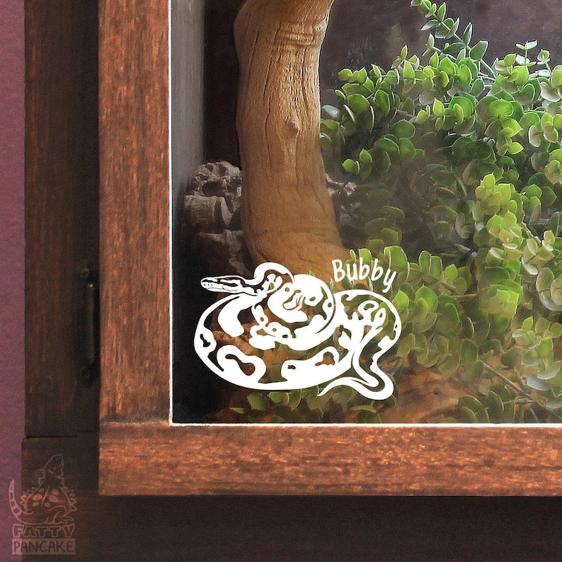 Ball Python Customizable Decal, Personalized Cute Snake Tank Decor, Gift for Snake Lovers and Owners image 1