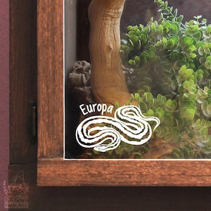 Rosy Boa Customizable Decal, Gift for Reptile Owners and Lovers, Enclosure or Terrarium Decor Name Tag