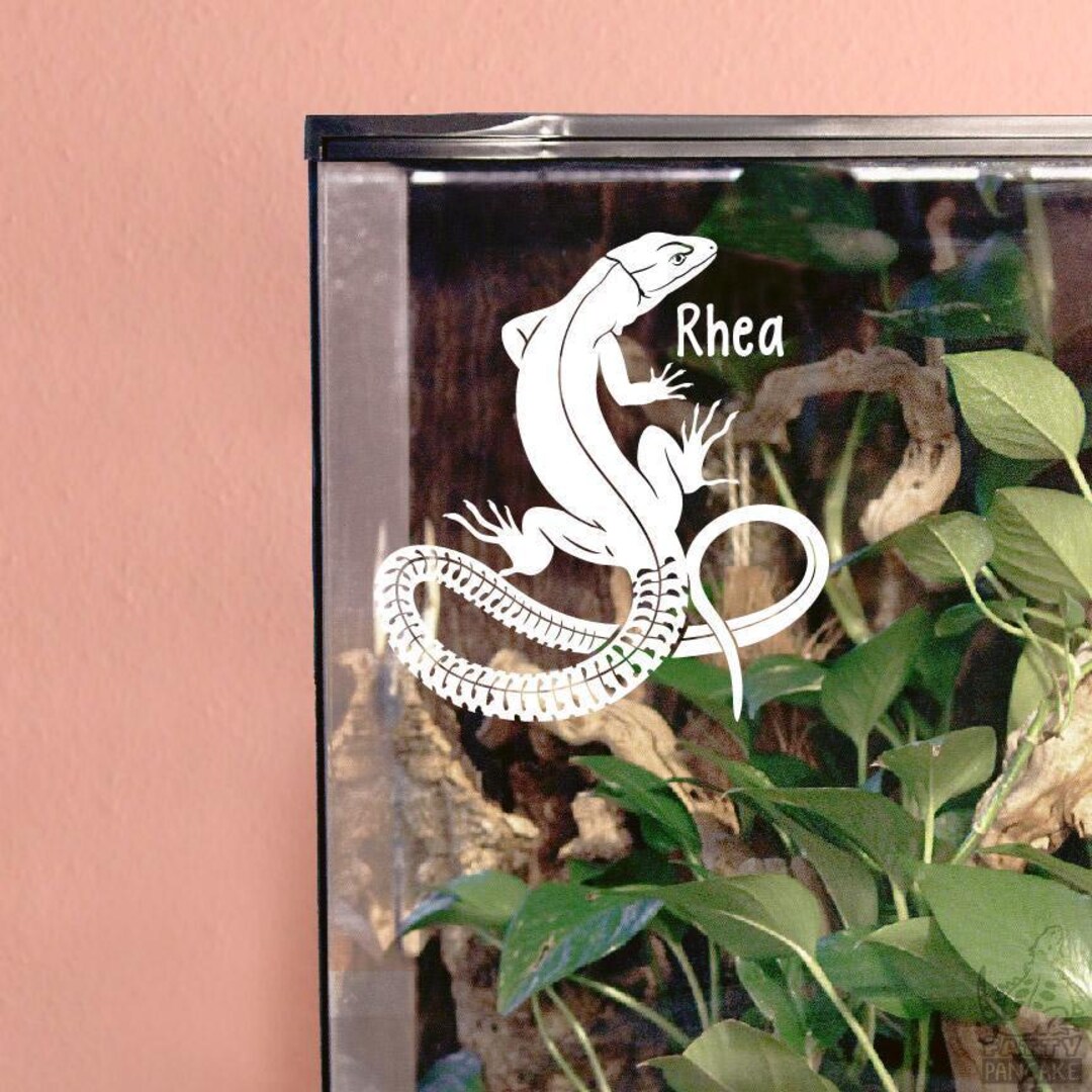 Green Keeled-bellied Lizard Vinyl Decal Customizable, Reptile Gift Tank ...