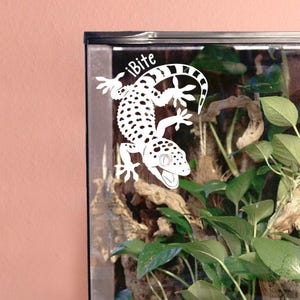 Tokay Gecko Customizable Vinyl Decal, Tokay Gecko Gift Sticker, Reptile Gift for Lizard Lovers and Owners, Enclosure Name Tag Decor
