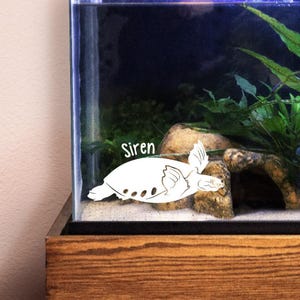 Fly River Turtle Customizable Decal, Gift for Reptile Owners and Lovers, Enclosure or Terrarium Decor Name Tag