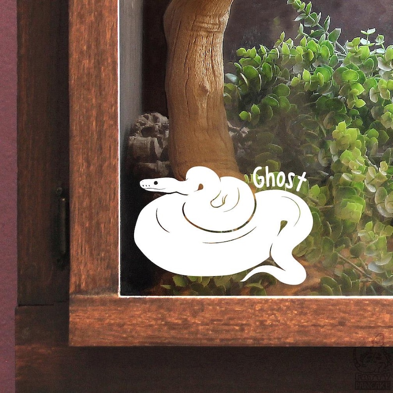 A white vinyl decal of a ball python with no pattern with the name 'Ghost' on it, adhered to a glass terrarium.