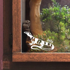 ベルズ フェイズ レース モニター カスタマイズ可能 デカール 爬虫類やヘビ愛好家や飼い主へのギフト エンクロージャー装飾 タンク名タグ