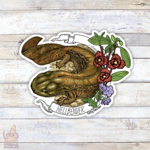 Könnte beinhalten: Ein Aufkleber mit einer detaillierten Illustration eines Höllenbenders mit braunem und orangefarbenem Körper, umgeben von roten und violetten Blumen. Der Aufkleber trägt den Text "Hellbender" und "Fatty Pancake".
