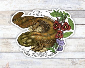 Autocollant de bannière Hellbender, autocollant permanent en vinyle pour amphibiens