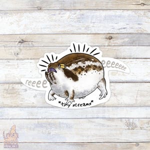 Desert Rain Frog Vinyl Sticker, Gift for Amphibian Lovers and Owners, Accessories for Laptops and Water Bottles
