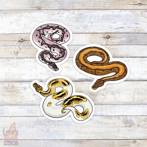 Ball Python Vinyl Sticker Pack, Gift for Reptile Lovers and Owners, Accessories for Laptops and Water Bottles