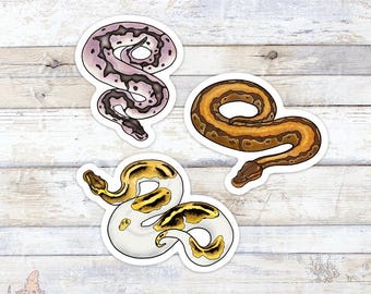 Confezione di adesivi in vinile con pitone reale, regalo per amanti e proprietari di rettili, accessori per laptop e borracce