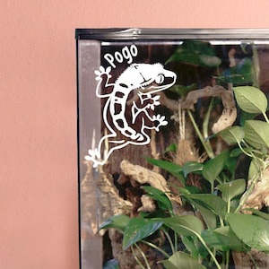 Crested Gecko Customizable Frog Butt Decal, No Tail Gecko, Gift for Reptile Lovers and Owners, Enclosure Name Tag Decor