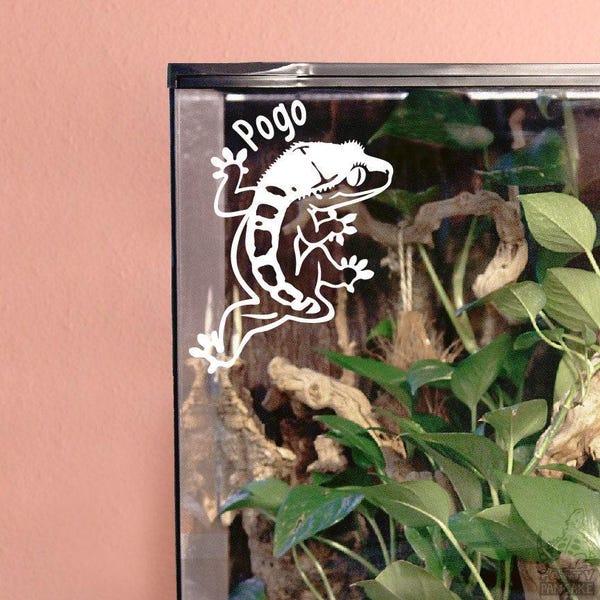 Calcomanía personalizable para trasero de rana de gecko crestado, gecko sin cola, regalo para amantes y dueños de reptiles, decoración con etiqueta para el nombre del recinto