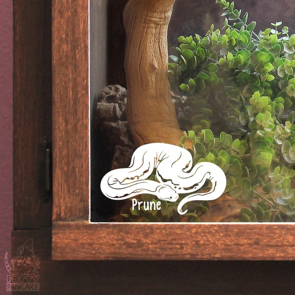 Reptile Name Tag for Enclosure Etsy