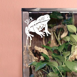 Waxy Monkey Tree Frog Personalized Decal, Cute Amphibian Laptop Sticker Car Decal